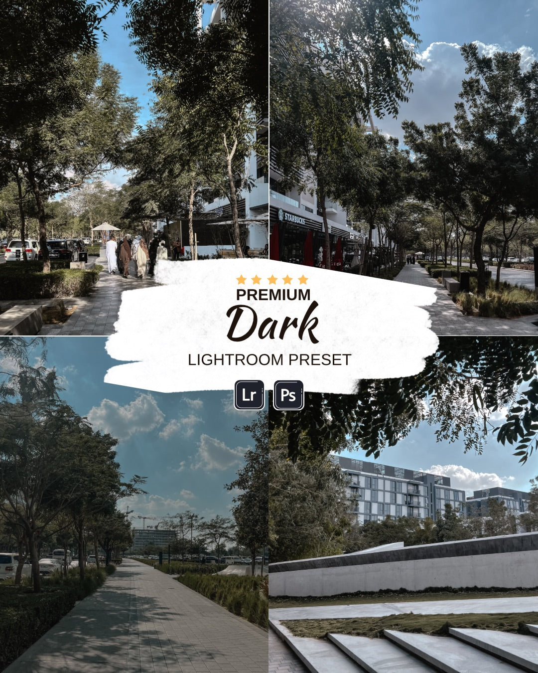 Dark aesthetic preset dng